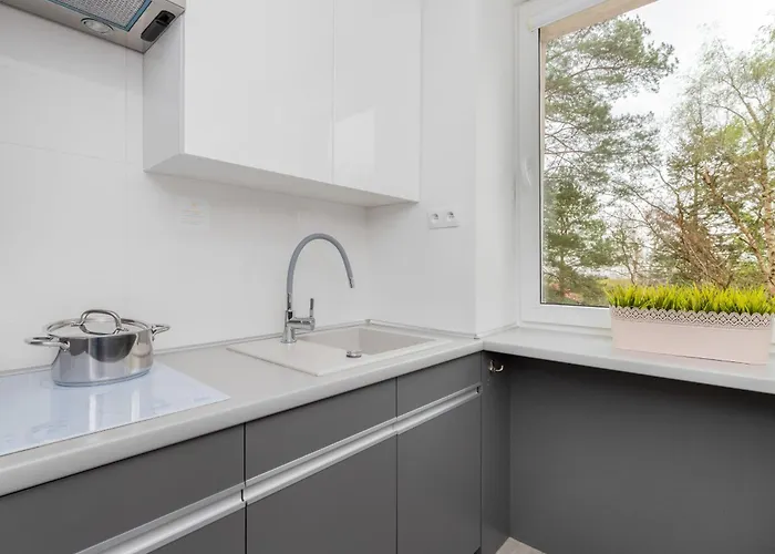 Unique With A Balcony In By Rent Like Sopoty